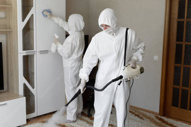 Best Biohazard Mold Removal  in Geneva, FL